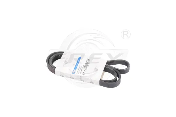 V-Ribbed Belt (821606713)