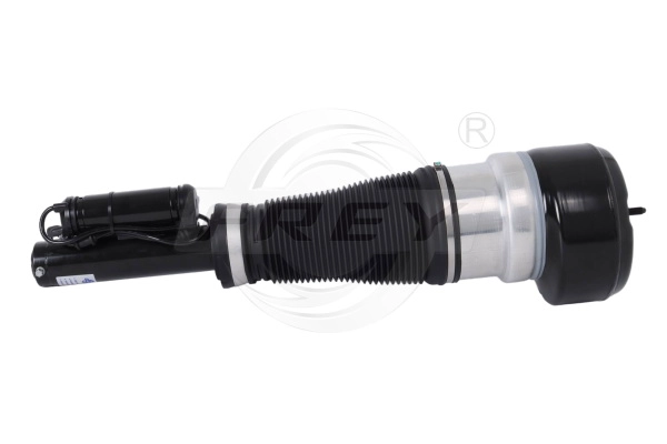 Air Suspension Strut (750426301)