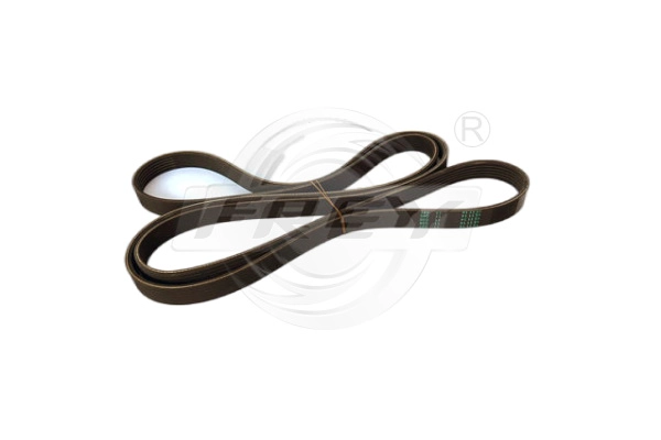 V-Ribbed Belt (721602301)