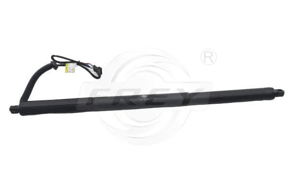 Gas Spring, boot/cargo area (890815101)