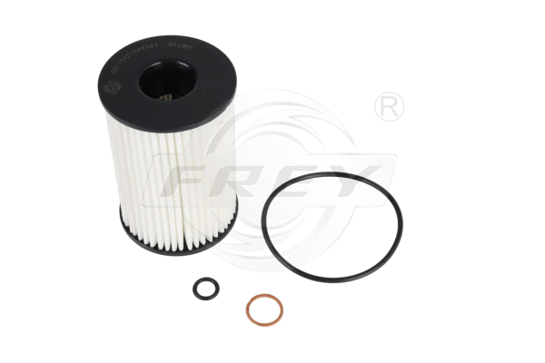 Air Filter (809107901)