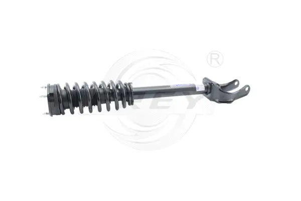 Shock Absorber (752191401)