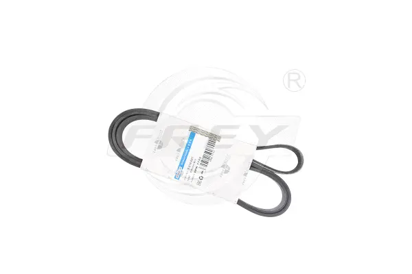 V-Ribbed Belt (821609101)