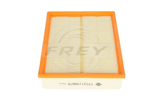 Air Filter (803101601)