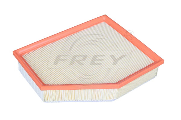 Air Filter (803112301)