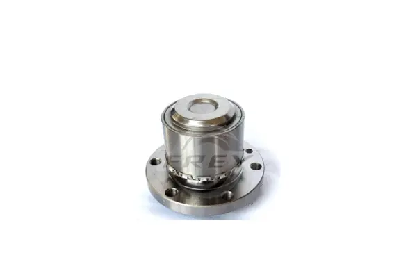 Wheel Bearing Kit (765705001)