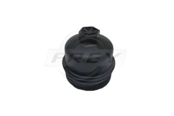 Cap, oil filter housing (801201501)