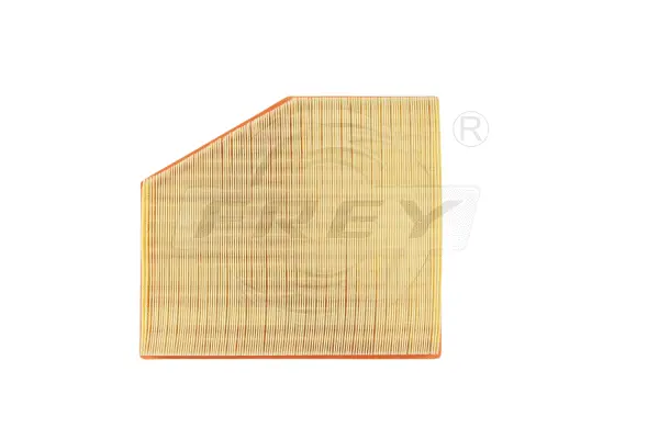 Air Filter (803102701)