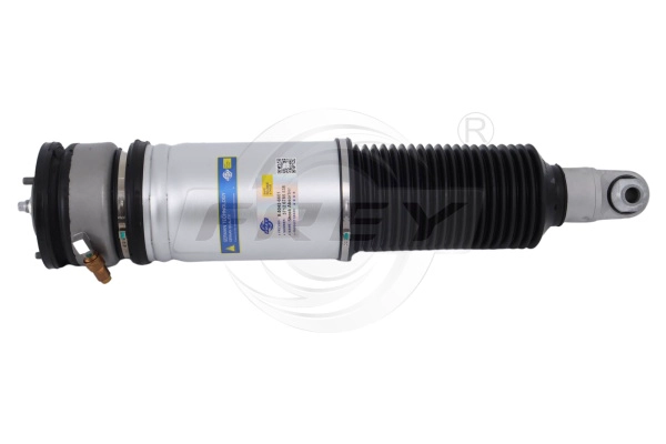 Air Suspension Strut (850406601)