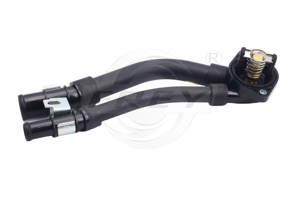 Thermostat, coolant (723107901)