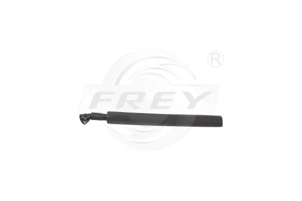 Hose, crankcase ventilation (813004301)