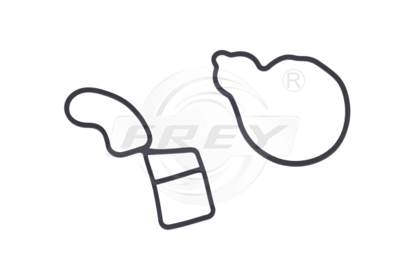 Gasket, water pump (800518901)