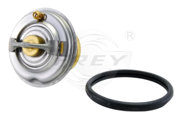 Thermostat, coolant (723100401)
