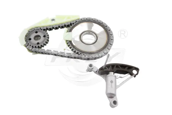 Chain Kit, oil pump drive (809800101)