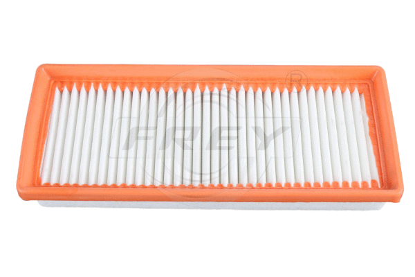 Air Filter (703121001)