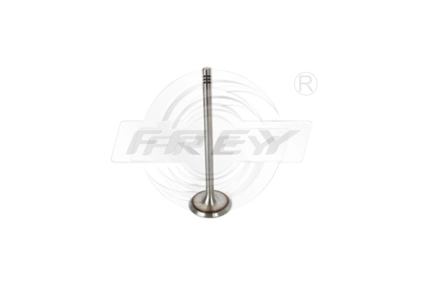 Intake Valve (806701001)