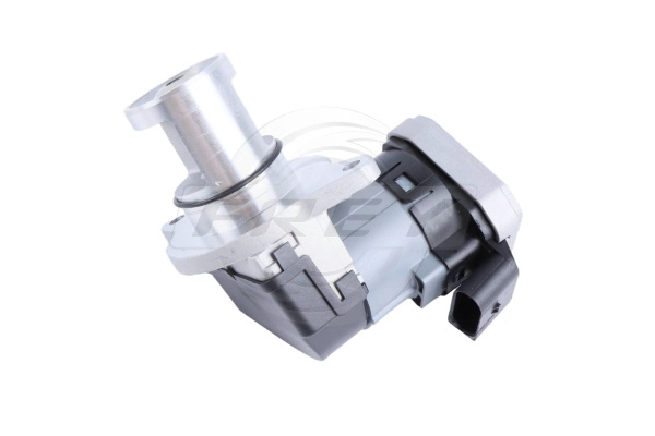 EGR Valve (704004601)