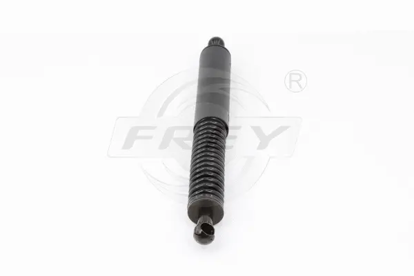 Gas Spring, boot/cargo area (790809401)