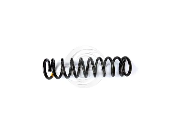 Suspension Spring (851700201)
