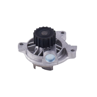 Water Pump, engine cooling (623014001)