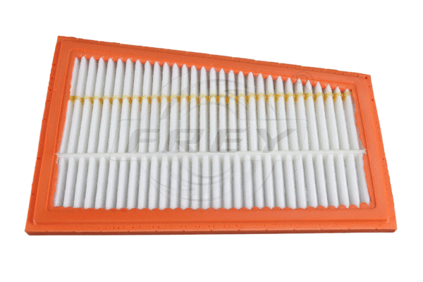 Air Filter (703120801)
