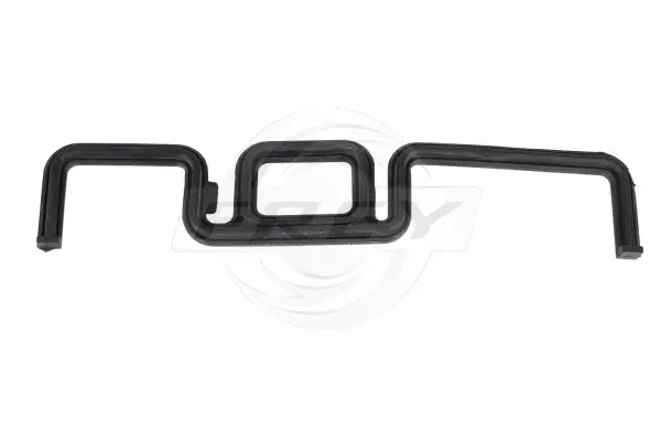 Gasket, timing case (800405901)