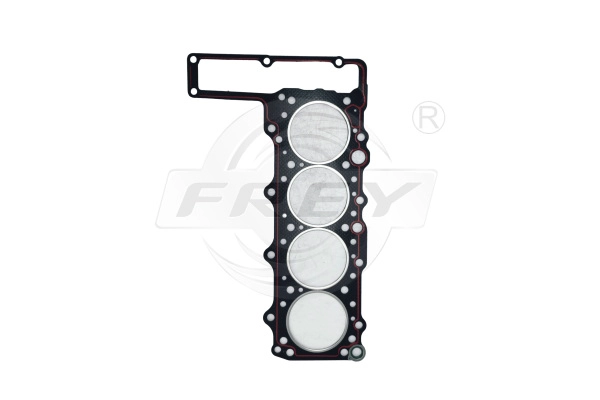 Gasket, cylinder head (700100801)