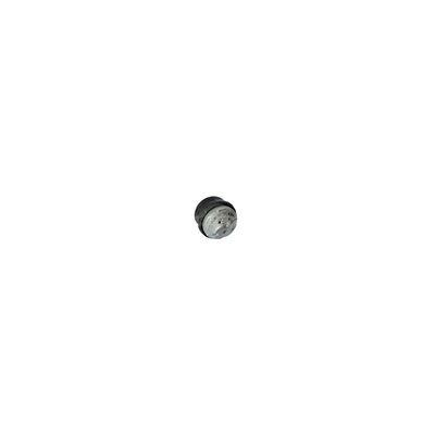 Mounting, engine (702921201)