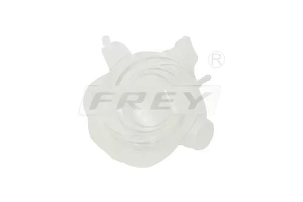 Expansion Tank, coolant (823305701)