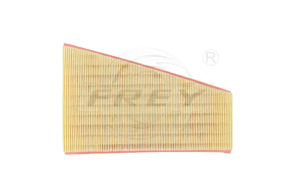 Air Filter (703113201)