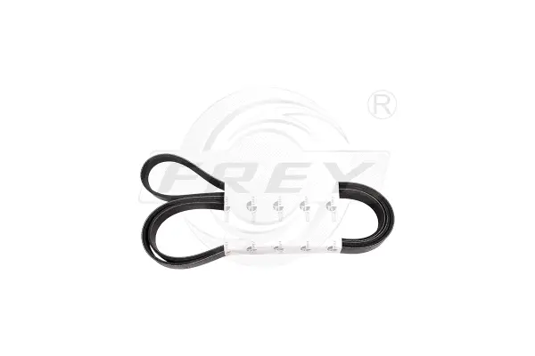V-Ribbed Belt (721604301)