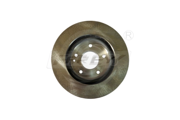 Brake Disc (745209102)