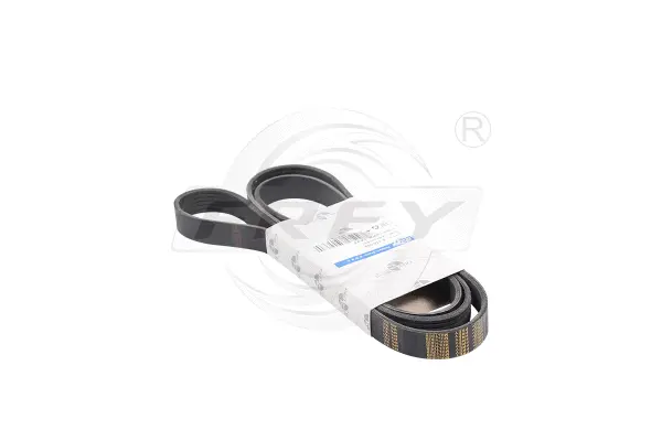 V-Ribbed Belt (821606901)