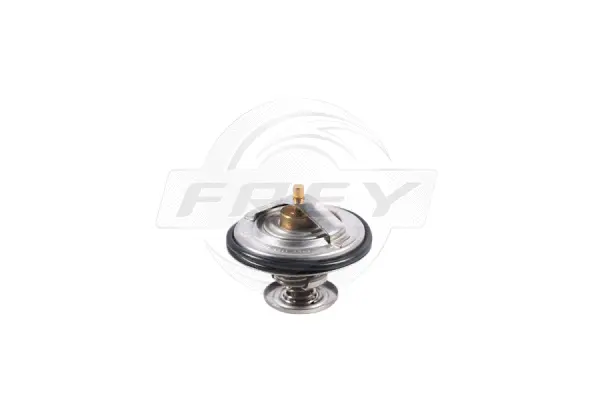 Thermostat, coolant (823100801)