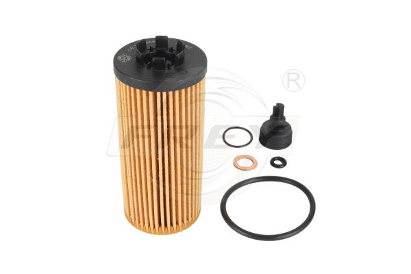 Air Filter (809108001)