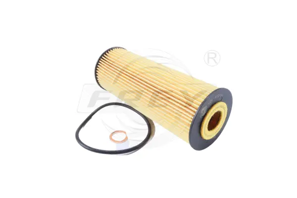 Oil Filter (709105801)