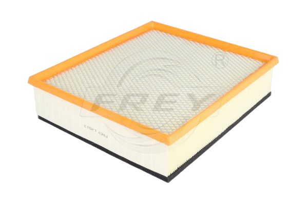 Air Filter (703119101)