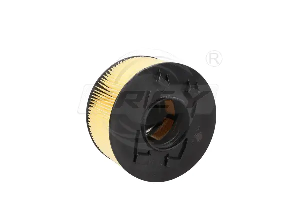 Air Filter (803101301)