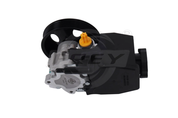 Hydraulic Pump, steering (760907301)