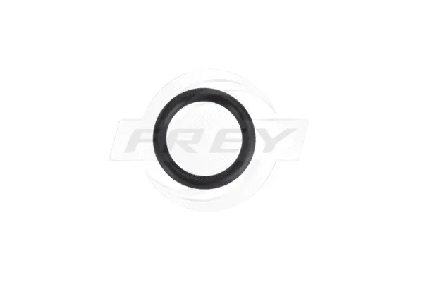Seal Ring (800514601)