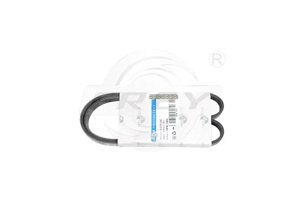 V-Ribbed Belt (821610301)