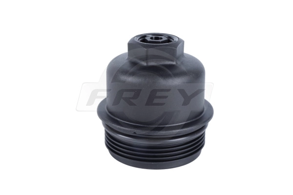 Cap, oil filter housing (801201601)