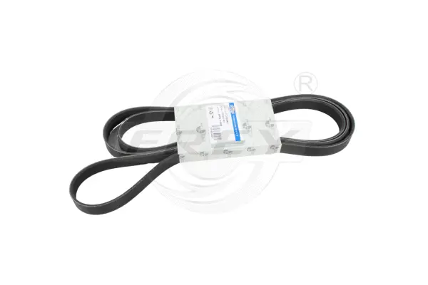 V-Ribbed Belt (721604401)