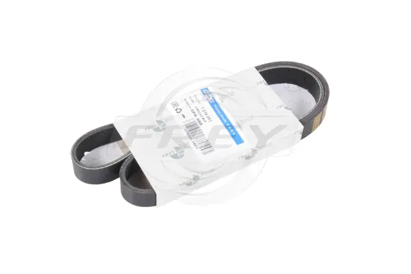 V-Ribbed Belt (721606301)