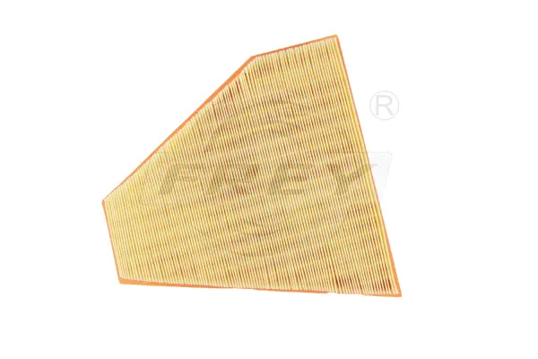 Air Filter (803103001)