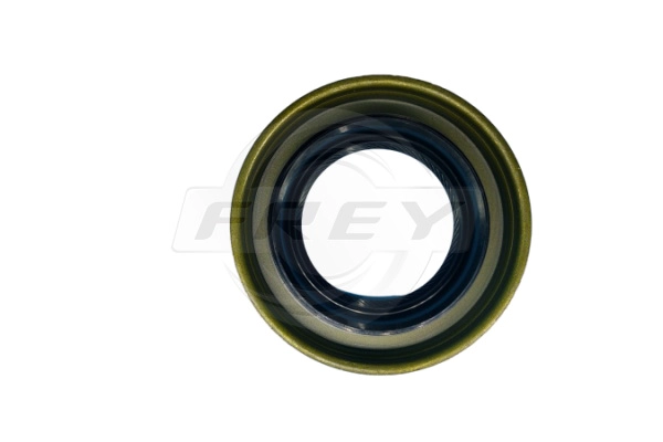 Shaft Seal, differential (795501301)