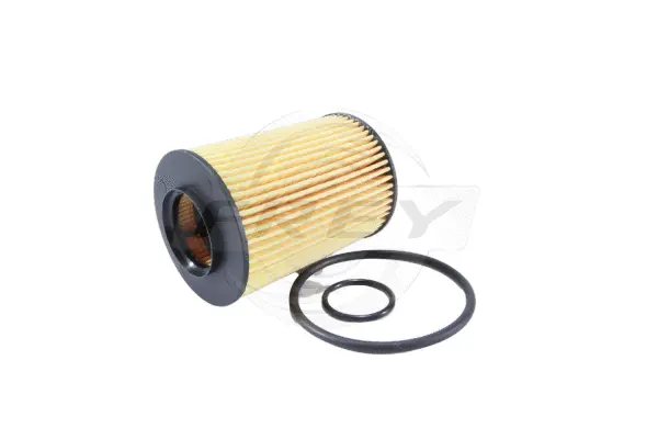 Oil Filter (709105601)