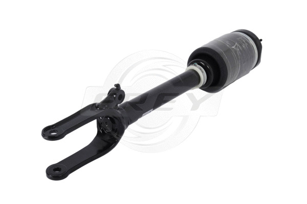 Shock Absorber (750409701)