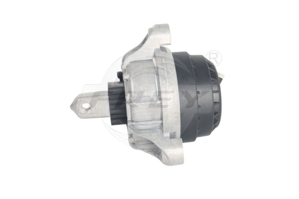 Mounting, engine (821009101)