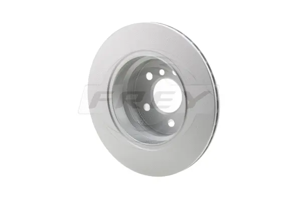 Brake Disc (845231801)